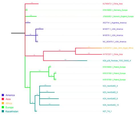 Distribution of Wheat-Infecting Viruses and Genetic Variability of ...