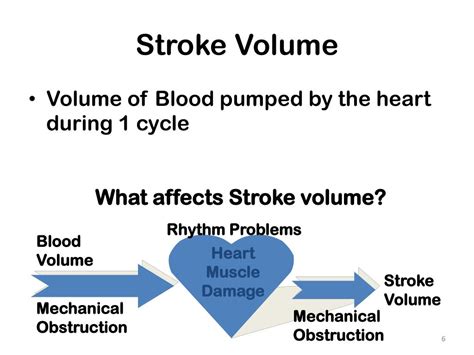 Shock Pathophysiology 的图像结果