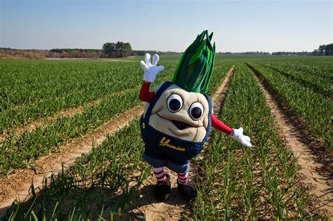 Vidalia Onion Museum Rack Card | Explore Georgia