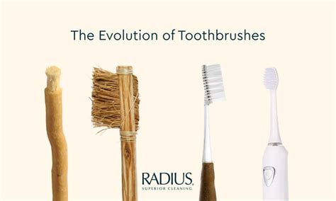 The Evolution of Toothbrushes: From Ancient Tools to Modern Innovation
