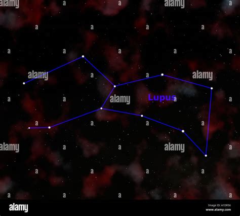 Lupus Constellation Showing Name And Sign Stock Photo - Alamy
