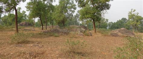 Archaeological Survey of India