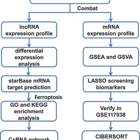 Image result for Scientific Flow Chart Example