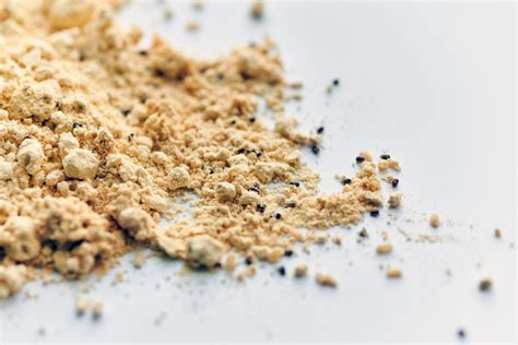 Why do I have red flour beetles? | Secret Agent Pest Control