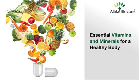Essential Vitamins and Minerals for a Healthy Body | Albia