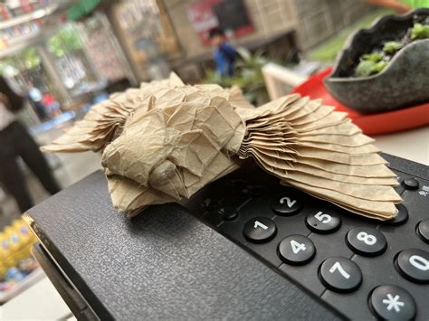 Image result for Origami Hawk