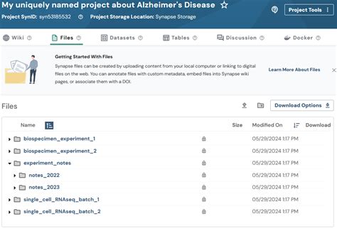 Image result for Web Python Documents Folder