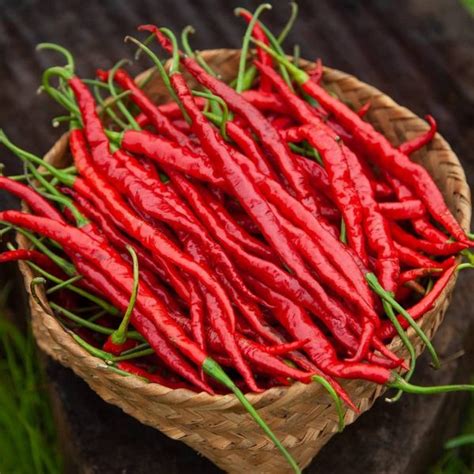 Hathei Chilli of Manipur
