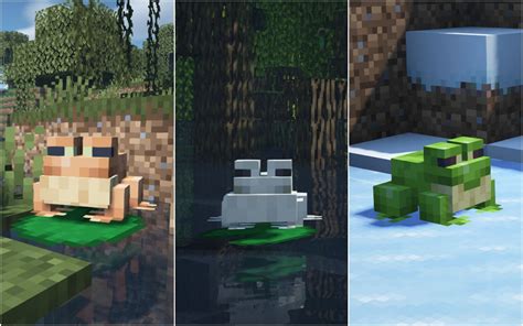 Where To Find Frogs In Minecraft