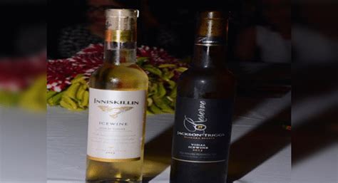 Wine brands make a beeline for Indian market – Food & Recipes