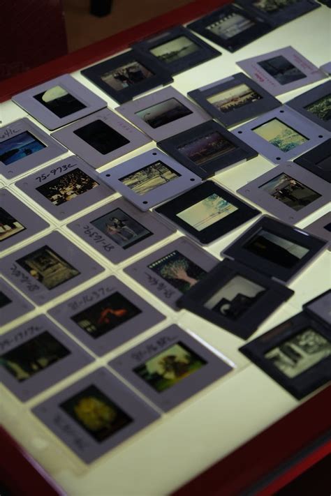 Free High Resolution 的图像结果