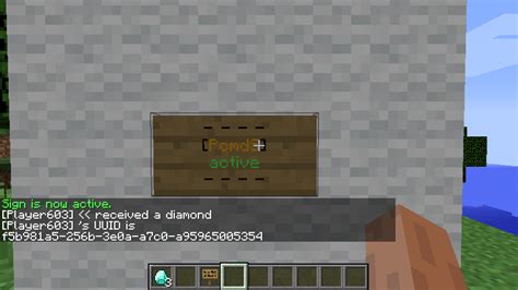 Image result for Minecraft Command Inscriptions On the Screen