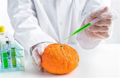 The Hidden Perils of Artificial Hormones in Your Meals! | PlanetSpark