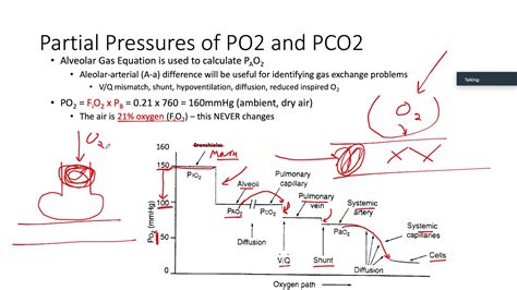 Image result for PCO2 Sensor Working