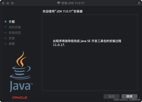 Java 11 Mac Tutorial 的图像结果