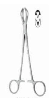 LANES TISSUE FORCEPS 15CM/6" : Amazon.in: Industrial & Scientific