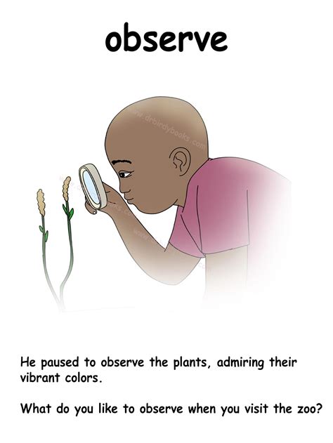 Observe | Dr. Birdy Books