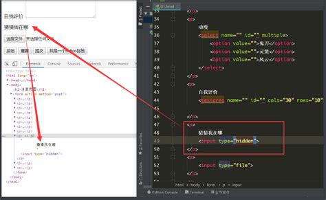 HtmlForm 的图像结果
