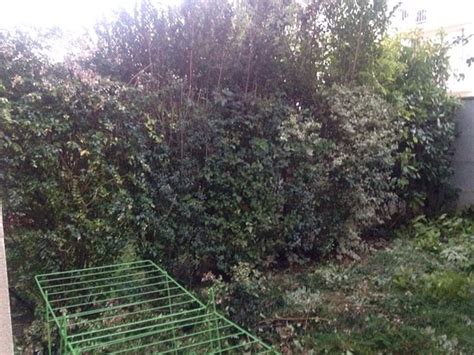 𝗧𝗛𝗘 𝗕𝗘𝗦𝗧 Hotels in Bretteville Sur Odon of 2025 (with Prices)