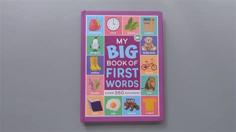 My Big Book of First Words with USB Port: Over 350 Sounds – Books and You
