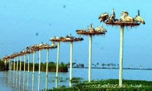 Travel Destinations in Andhra Pradesh