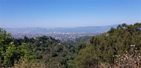 Fish ranch road is a bay area gem. You can see all of Oakland and the ...