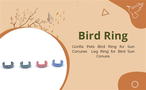 gorilla pets Bird Ring for Sun Conures Set of 4 / Leg Ring for Bird Sun ...