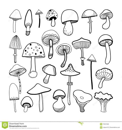 Image result for mushrooms doodle | Mushroom art, Doodle art drawing ...