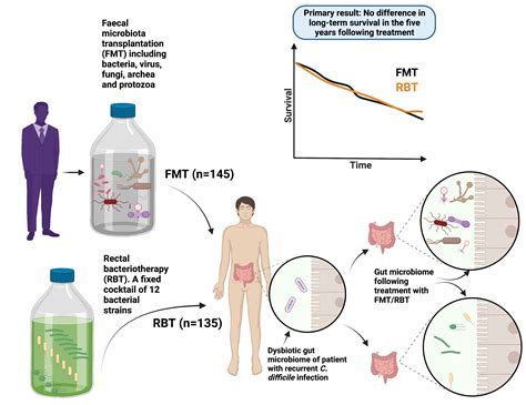Cells | Free Full-Text | Long-Term Safety Following Faecal Microbiota Transplantation as a ...