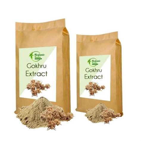 Natural Herbal Extract - Huperzia Serrata Extract Manufacturer from Kanpur