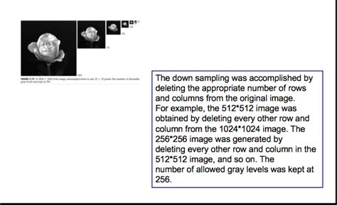 Image result for Downsampling MATLAB