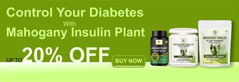 Herbal Supplements with wonderful health benefits