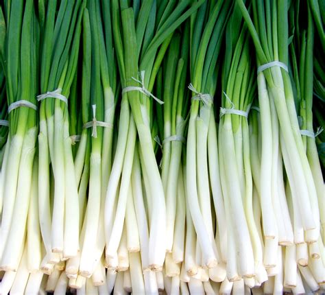 Free Images : food, produce, vegetable, vegetables, leek, chives ...
