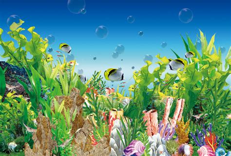 夏天唯美卡通水下海洋世界海底卡通插画图片-千库网