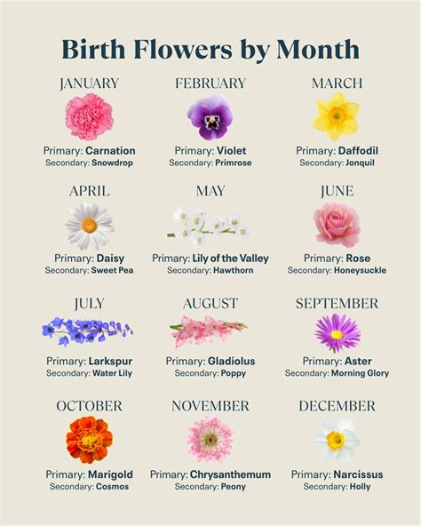 What Is My Birth Flower? Every Flower and Meaning