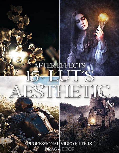 15+ LUTS Presets for After Effects - Instantly Give Your Videos a ...