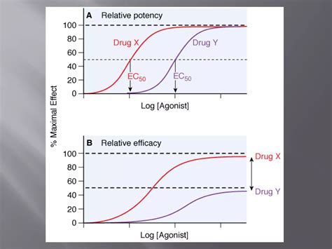 Efficacy and Potency of drug | PPT