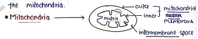Biochemistry Unit 2 Notes - 2nd Semester B Pharmacy | Carewell Pharma