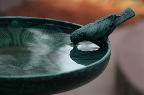 Lily Garden Bird Bath – Mi Casa Collective