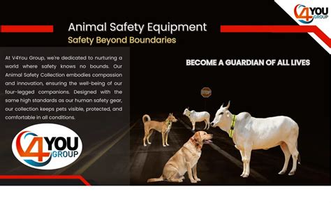 Reflective Collar for Cow - Reflective Belt For Cow Manufacturer from ...