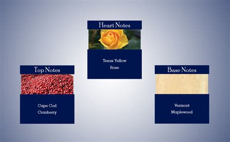 Tommy Hilfiger For Men Eau de Toilette 100ml : Amazon.in: Fashion