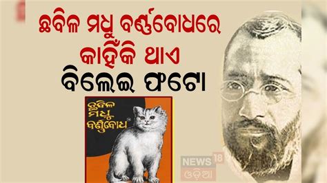 Chhabila Madhu Barnabodha: ଛବିଳ ମଧୁ ବର୍ଣ୍ଣବୋଧରେ କାହିଁକି ଥାଏ ବିଲେଇର ଫଟୋ ...