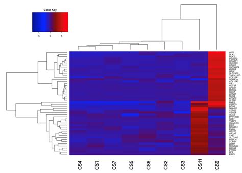 Genomic Characterization of Rare Primary Cardiac Sarcoma Entities