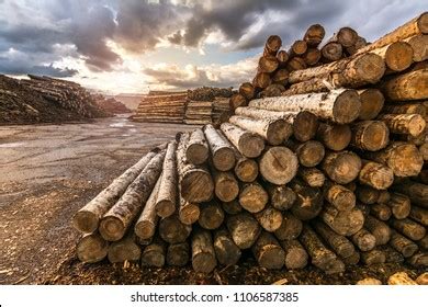 Image result for Wood Color Processing