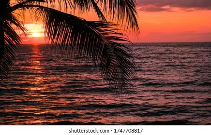 Image result for Sunset Climb O2