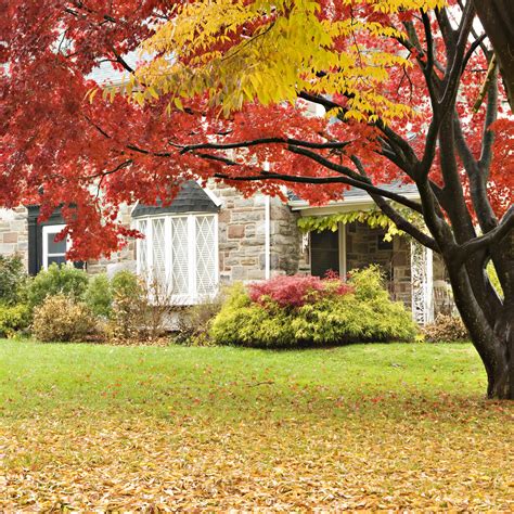 Unsellable Houses Season 6