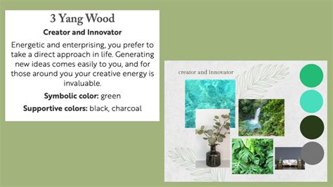 Image result for Feng Shui Color Reading