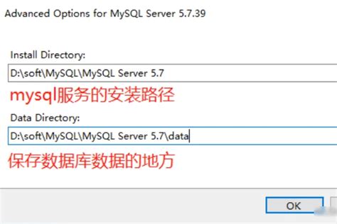 MySQL 5.1 Download 的图像结果