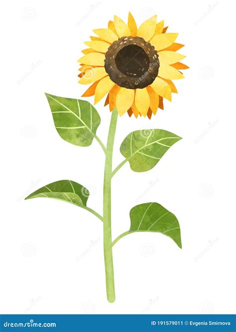 Sunflower Clip Art
