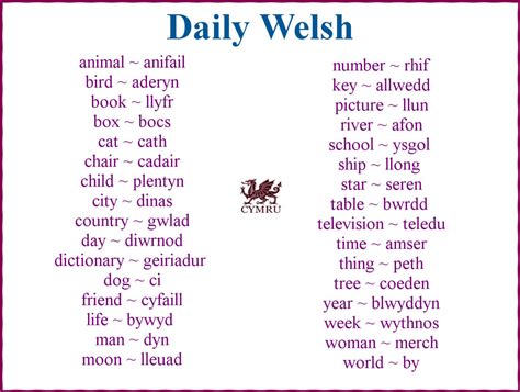 Pin by Tamara Call on Random | Learn welsh, Welsh sayings, Welsh words